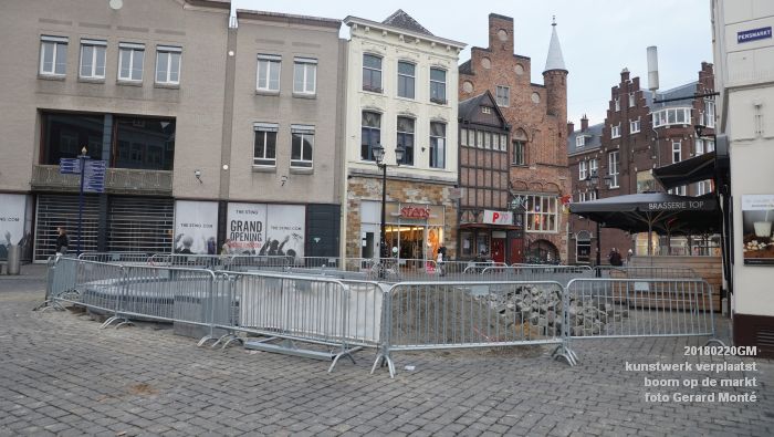 eDSC06048- Gemeente kunstwerk verplaatst EG van MB - boom op de markt - 20feb2018 - foto GerardMontE web