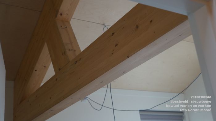 DSC08903- Boschveld - nieuwbouw - bewust wonen en werken - bezoek Lutz Jacobi - 8mrt2018 - foto GerardMontE web