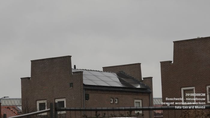 DSC08909- Boschveld - nieuwbouw - bewust wonen en werken - bezoek Lutz Jacobi - 8mrt2018 - foto GerardMontE web