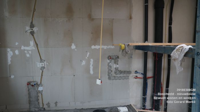 DSC08921- Boschveld - nieuwbouw - bewust wonen en werken - bezoek Lutz Jacobi - 8mrt2018 - foto GerardMontE web