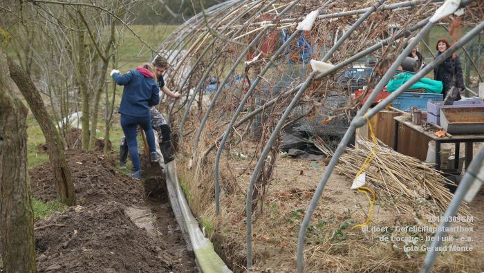 DSC09019- NLdoet - Gefeliciflapstaartbox - Locatie - De Fuik - en andere locaties- 9maart2018 - foto GerardMontE web