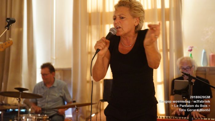 kDSC09863 - Hangop woensdag -  open podium - w2f - Le Pantalon du Bois - 20juni2018 -  foto GerardMontE web