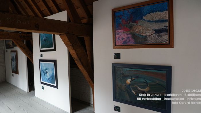 DSC04722- Stok Kruithuis - Nachtleven - Zichtlijnen - Uit verbeelding - Deelgenoten - ea exposities - opening - 29april2018 -  foto GerardMontE web