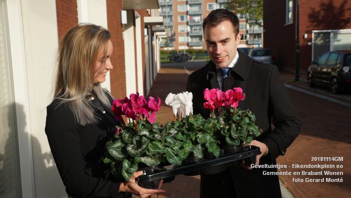 DSC02812- Geveltuintjes - Eikendonkplein - Gemeente BrabWonen - 14nov2018 -  foto GerardMontE web