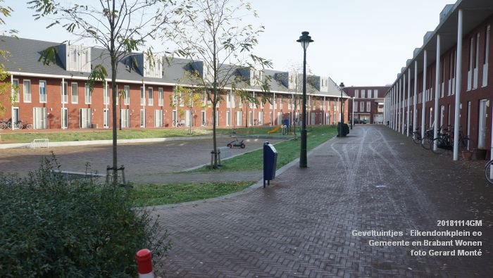 DSC02840- Geveltuintjes - Eikendonkplein - Gemeente BrabWonen - 14nov2018 -  foto GerardMontE web
