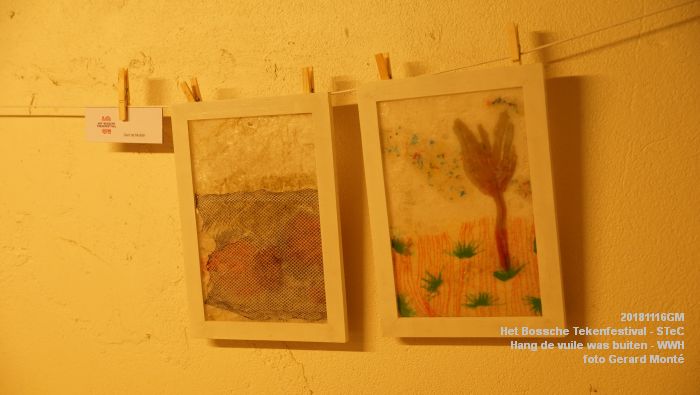 DSC03188- Het Bossche Tekenfestival - Hang de vuile was buiten - Werkwarenhuis - div locaties - 16nov2018 -  foto GerardMontE web