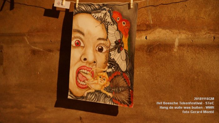DSC03223- Het Bossche Tekenfestival - Hang de vuile was buiten - Werkwarenhuis - div locaties - 16nov2018 -  foto GerardMontE web