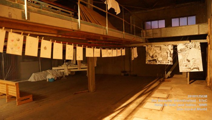 GDSC04170- Het Bossche Tekenfestival - Hang de vuile was buiten - Werkwarenhuis - stok - 25nov2018 -  foto GerardMontE web