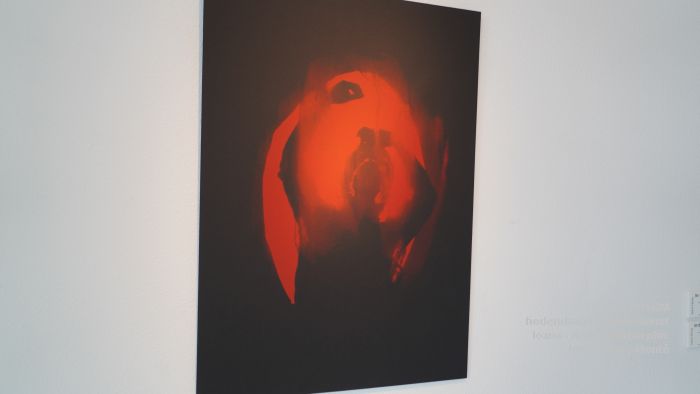 DSC06493- galerie hedendaags kunstkabinet - Ioana - 15okt2022 -  foto GerardMontE web