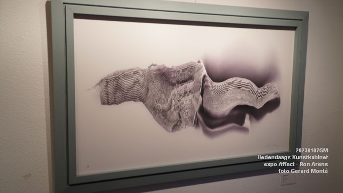 DSC05351- Hedendaags Kunstkabinet  - Affect - Ron Ariens - 7jan2023 -  foto GerardMontE web