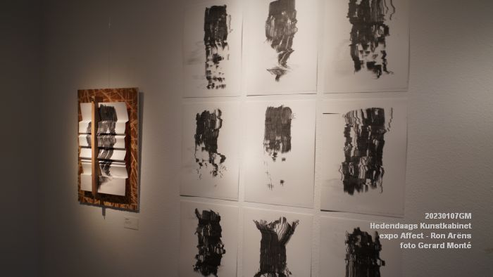 DSC05352- Hedendaags Kunstkabinet  - Affect - Ron Ariens - 7jan2023 -  foto GerardMontE web