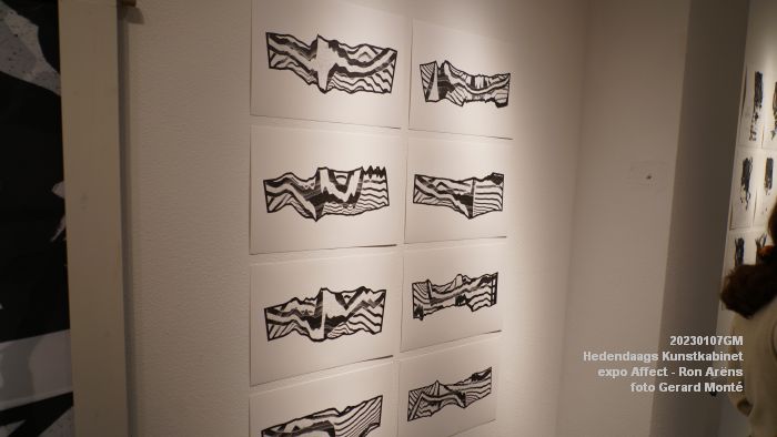 DSC05363- Hedendaags Kunstkabinet  - Affect - Ron Ariens - 7jan2023 -  foto GerardMontE web