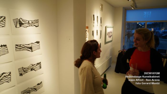 DSC05364- Hedendaags Kunstkabinet  - Affect - Ron Ariens - 7jan2023 -  foto GerardMontE web