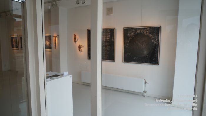 DSC08009- Hedendaags Kunstkabinet - Overwoekeringen - Astrid van Rijn - 12febr2023 -  foto GerardMontE web