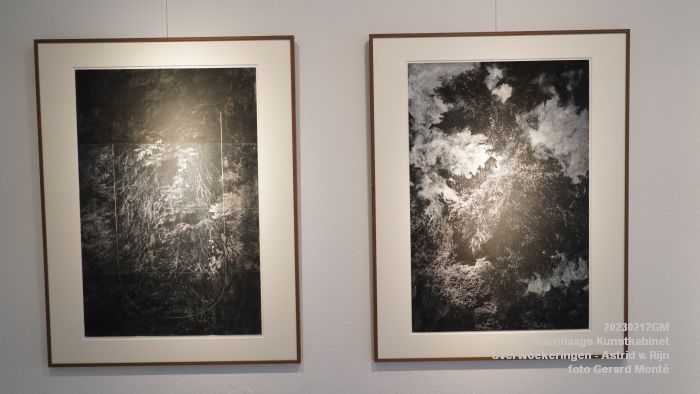 DSC08018- Hedendaags Kunstkabinet - Overwoekeringen - Astrid van Rijn - 12febr2023 -  foto GerardMontE web