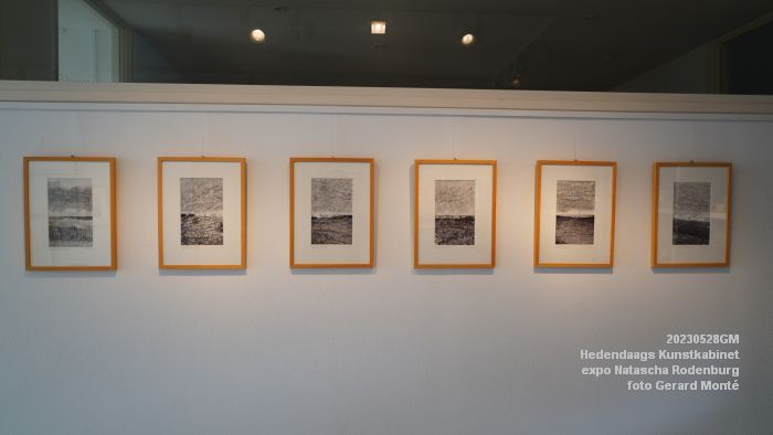 DSC06189- Hedendaags Kunstkabinet - Natascha Rodenburg - 28mei2023 - foto GerardMontE web