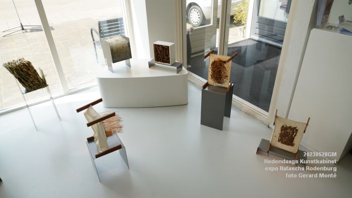 DSC06196- Hedendaags Kunstkabinet - Natascha Rodenburg - 28mei2023 - foto GerardMontE web