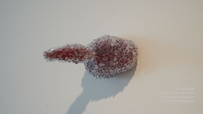 DSC08274- Galerie Jan van Hoof finissage expositie - 25juni2023 - foto GerardMontE web