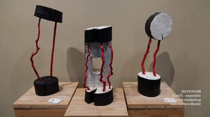 DSC07866- Huis73 expositie Muzikale omlijsting - 1nov2023 - foto GerardMontE web