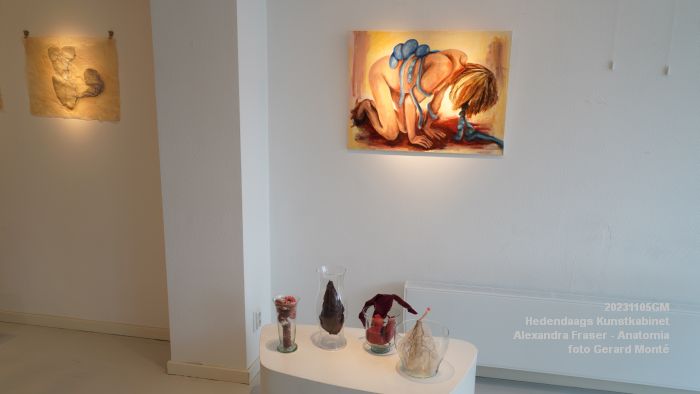 DSC06425- Hedendaags Kunstkabinet - Alexandra Fraser - Anatomia - 5nov2023 - foto GerardMontE web