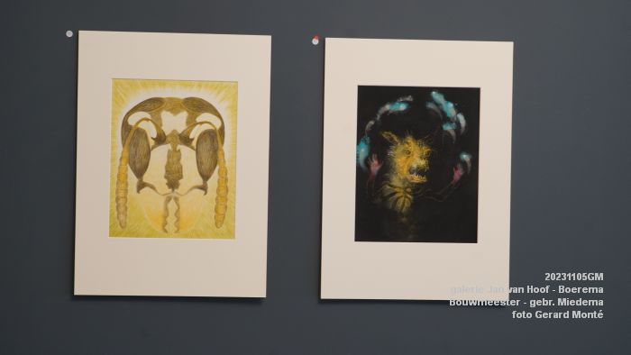 DSC06382- galerie Jan van Hoof finissage3x - 5nov2023 - foto GerardMontE web