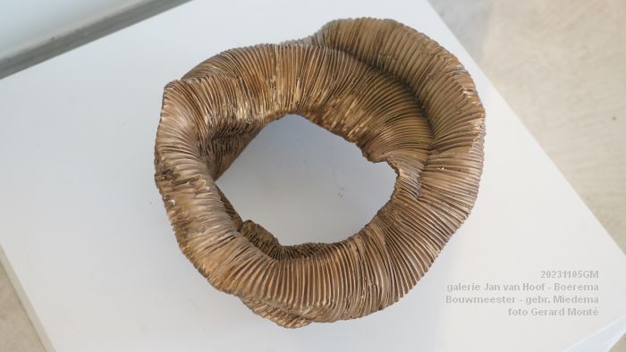 DSC06391- galerie Jan van Hoof finissage3x - 5nov2023 - foto GerardMontE web