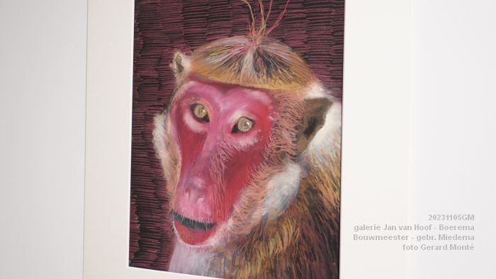 DSC06413- galerie Jan van Hoof finissage3x - 5nov2023 - foto GerardMontE web