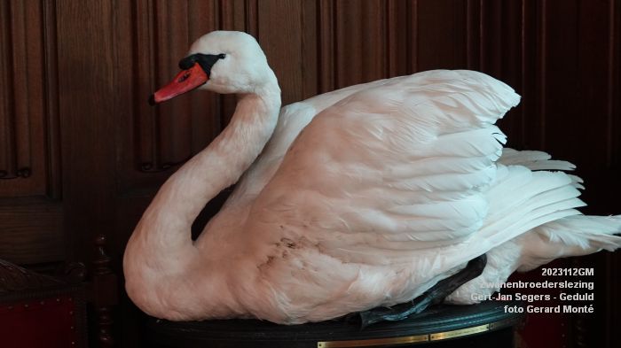 DSC09188- Zwanenbroederslezing Gert-Jan Segers - Geduld - 12nov2023 - foto GerardMontE web