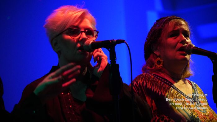 DSC08095- Den Bosch Zingt disco en soul - De Slinger - 25nov2023 - foto GerardMontE web