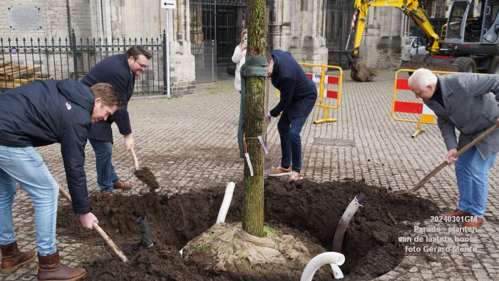 DSC05330- Parade - planten van de laatste boom - 1mrt2024 - foto GerardMontE web
