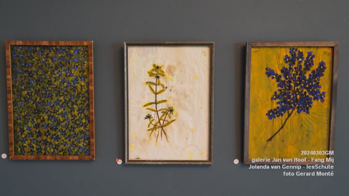 DSC05579- galerieJanvanHoof-FangMij-JolandavanGennip-IesSchute - 4mrt2024 - foto GerardMontE web