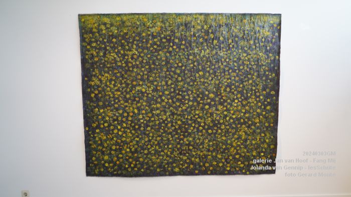 DSC05614- galerieJanvanHoof-FangMij-JolandavanGennip-IesSchute - 4mrt2024 - foto GerardMontE web