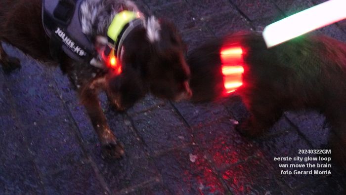 DSC00515- eerste city glow loop den bosch van move the brain - 22mrt2024 - foto Gerard MontE web