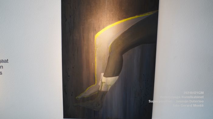 DSC09220-  Hedendaags Kunstkabinet - Superposition - Jasmijn Duterloo - 21apr2024 - foto Gerard MontE web