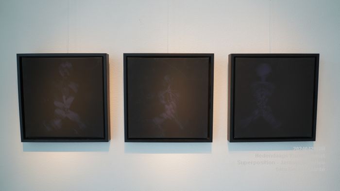 DSC09226-  Hedendaags Kunstkabinet - Superposition - Jasmijn Duterloo - 21apr2024 - foto Gerard MontE web