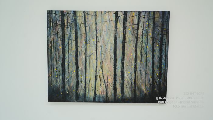 DSC00061- galerie Jan van Hoof - Joris Link - Rob Regeer - Ingrid Simons - 5mei2024 - foto Gerard MontE web