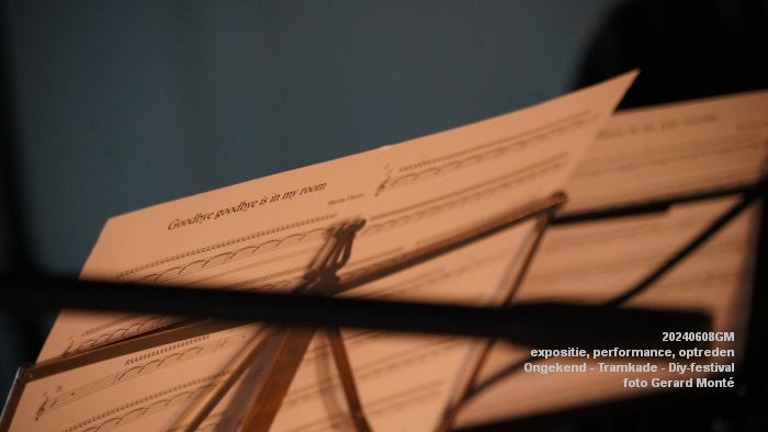 DSC01678- expositie performance en optreden Ongekend op de Tramkade - Diy-festival - 8juni2024 - foto Gerard MontE web