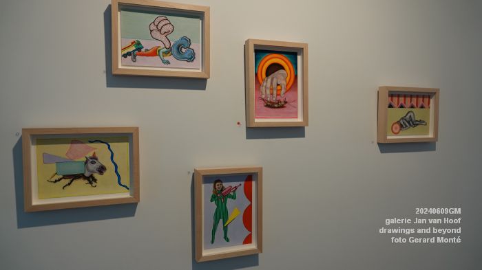 DSC00160- galerie Jan van Hoof - drawings and beyond - 9juni2024 - foto Gerard MontE web