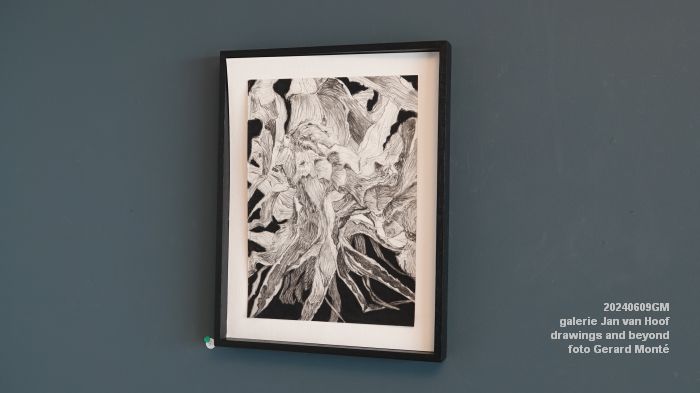 DSC00168- galerie Jan van Hoof - drawings and beyond - 9juni2024 - foto Gerard MontE web