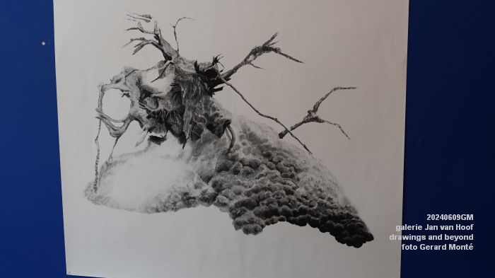 DSC00169- galerie Jan van Hoof - drawings and beyond - 9juni2024 - foto Gerard MontE web