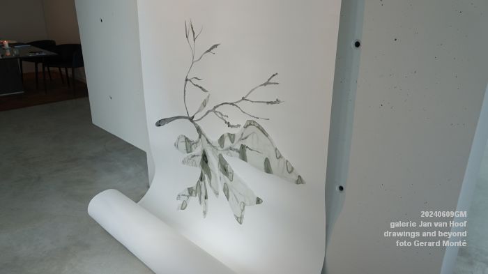 DSC00181- galerie Jan van Hoof - drawings and beyond - 9juni2024 - foto Gerard MontE web