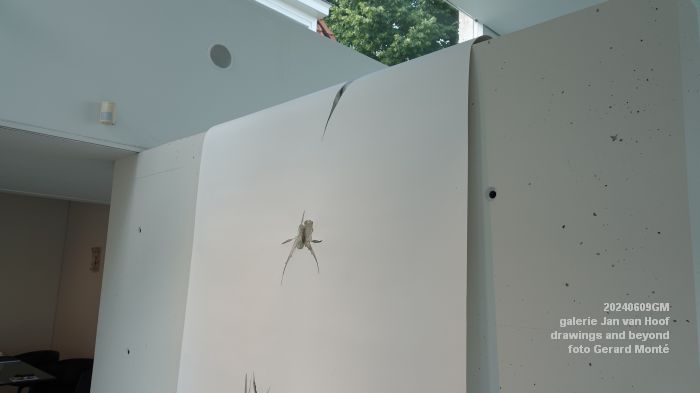 DSC00182- galerie Jan van Hoof - drawings and beyond - 9juni2024 - foto Gerard MontE web