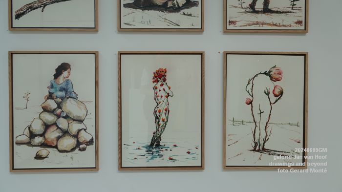 DSC00189- galerie Jan van Hoof - drawings and beyond - 9juni2024 - foto Gerard MontE web