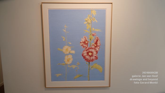 DSC00208- galerie Jan van Hoof - drawings and beyond - 9juni2024 - foto Gerard MontE web