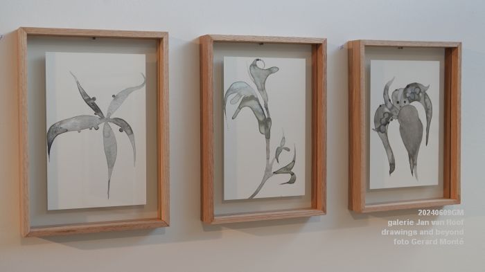 DSC00220- galerie Jan van Hoof - drawings and beyond - 9juni2024 - foto Gerard MontE web