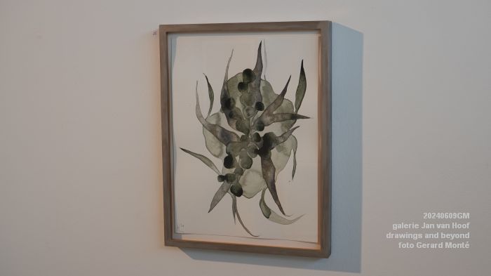 DSC00221- galerie Jan van Hoof - drawings and beyond - 9juni2024 - foto Gerard MontE web