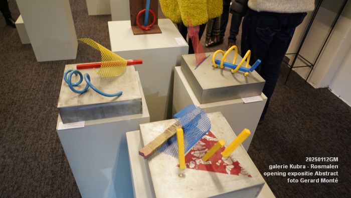 DSC02040- galerie Kubra Rosmalen - opening expositie Abstract - 12jan2025 -  foto GerardMontE web