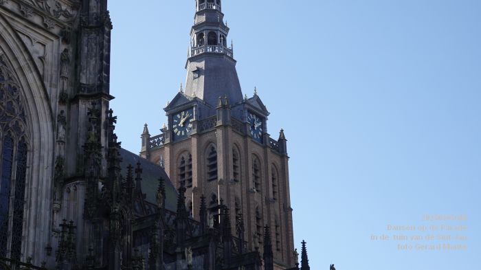 DSC04441- Dansen op de Parade - tuin Sint-Jan - 5mrt025 -  foto GerardMontE web