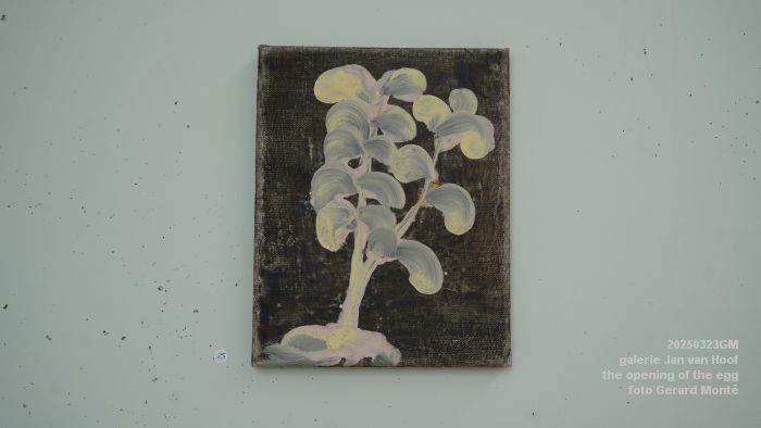 DSC04108- galerie Jan van Hoof - the opening of the egg - 23mrt2025 -  foto GerardMontE web