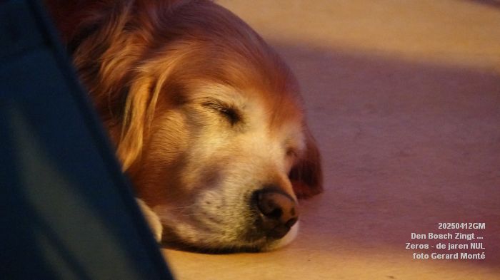 DSC09466- Den Bosch Zingt --- Zeros - de jaren 0  NUL - 12apr2025 -  foto GerardMontE web